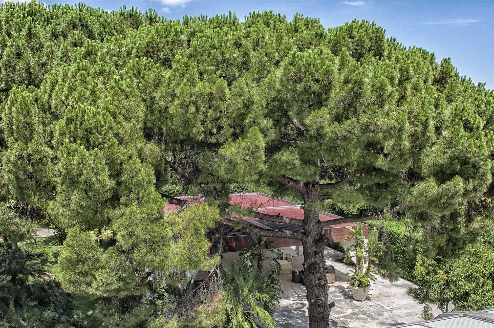 Garden Hotel Molfetta Exterior photo