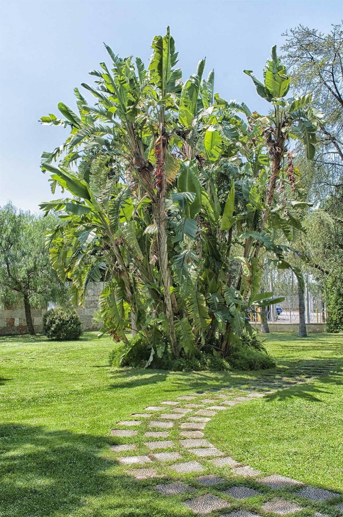 Garden Hotel Molfetta Exterior photo